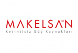 Maklesan UPS & Stabilizers