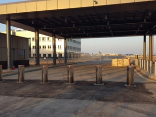 Saudi Arabia-White Rose