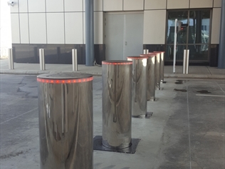 Saudi Arabia-White Rose