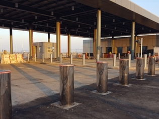 Saudi Arabia-White Rose