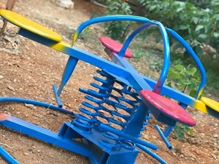 Neighbor's Garden Contribution