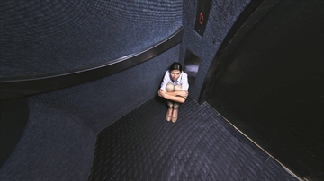 Utilizing A Quality Elevator Company To Reduce Elevator Phobias