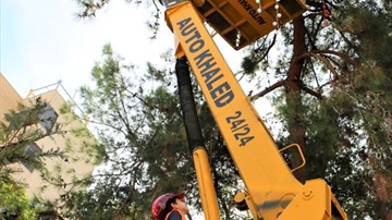 New Year Celebration !